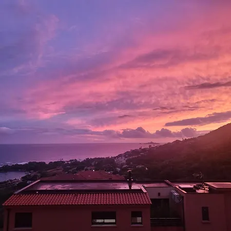 Aux Sanguinaires Ajaccio (Corsica)